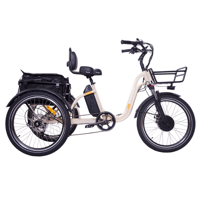 DWMeigi Blazer Full Suspension Electric Tricycle, 48V/16Ah, 750W