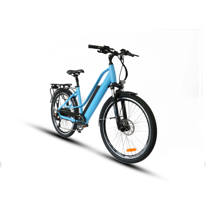 EUNORAU E-TORQUE Electric Bike, 48V/16Ah, 500W