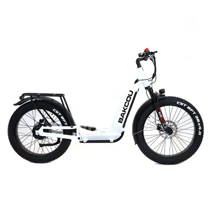 Bakcou Grizzly Electric Scooter, 48V/21Ah, 1000W – ebikeoptions