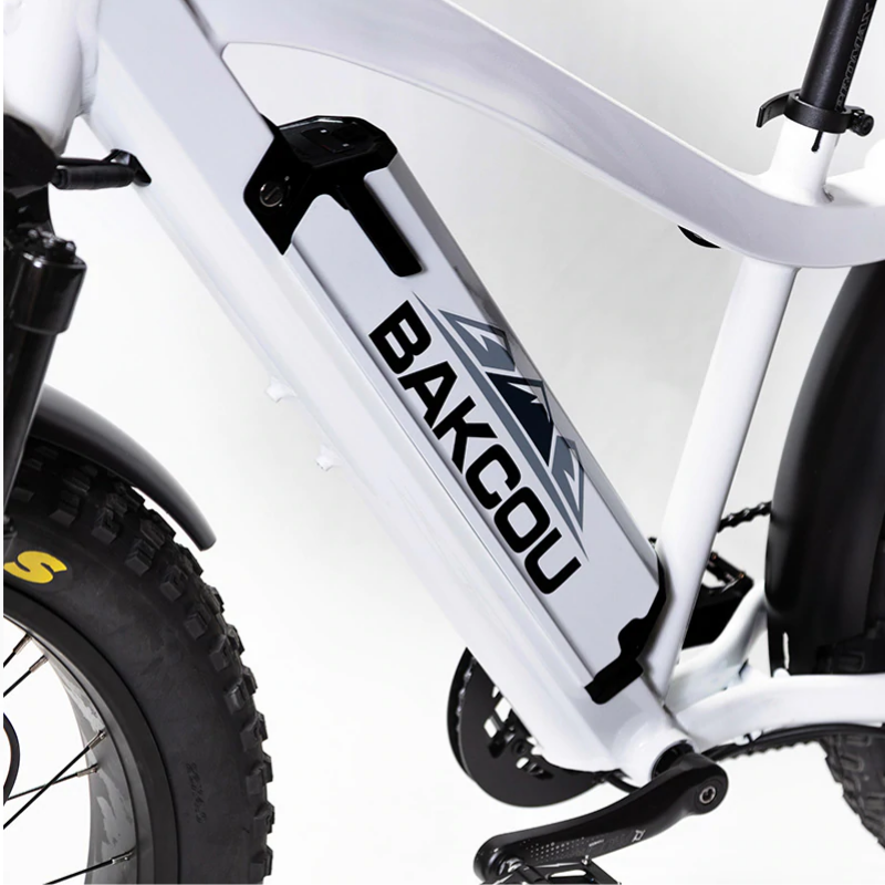 Bakcou Flatlander Fat Tire Electric Bike, 48V 750W
