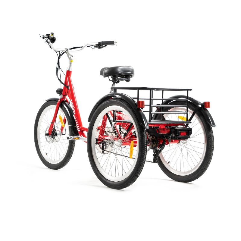DWMeigi Urban Step Through Electric Tricycle, 36V/13Ah, 350W