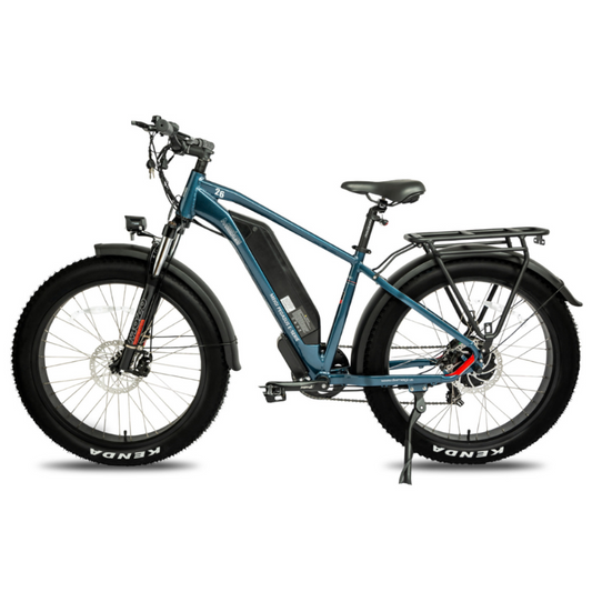 DWMeigi Pegasus Fat Tire Electric Bike, 48V/16Ah, 750W